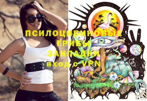 мяу мяу мука Новодвинск