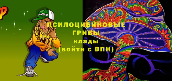 дмт Новокубанск