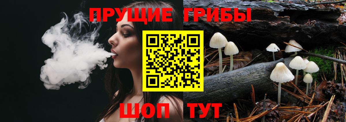 Галлюциногенные грибы GOLDEN TEACHER Оренбург