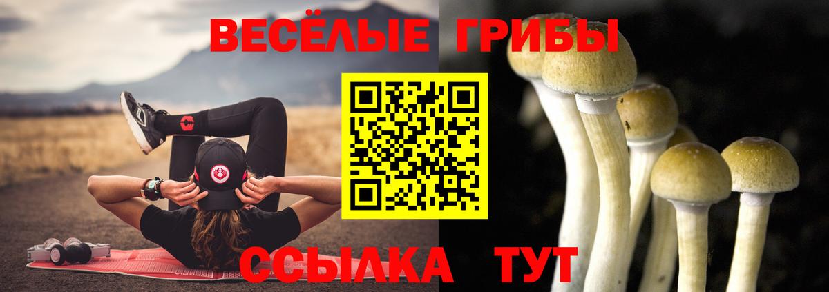 сколько стоит  Галлюциногенные грибы мицелий  Вход с VPN  Оренбург  Галлюциногенные грибы MAGIC MUSHROOMS 