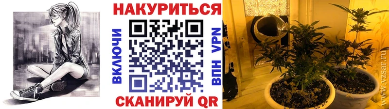 МАРИХУАНА Ganja  Оренбург 